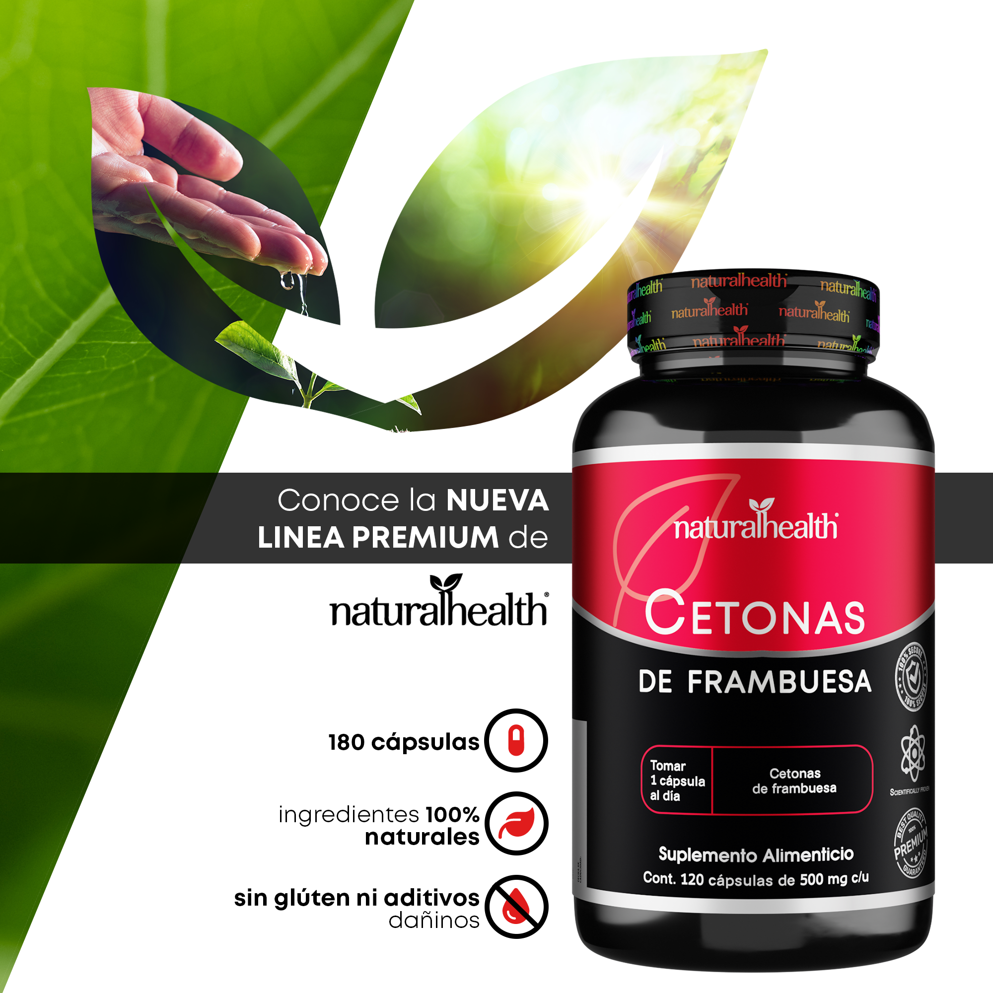 Cetonas de Frambuesa | Termogénico natural | 120 cápsulas