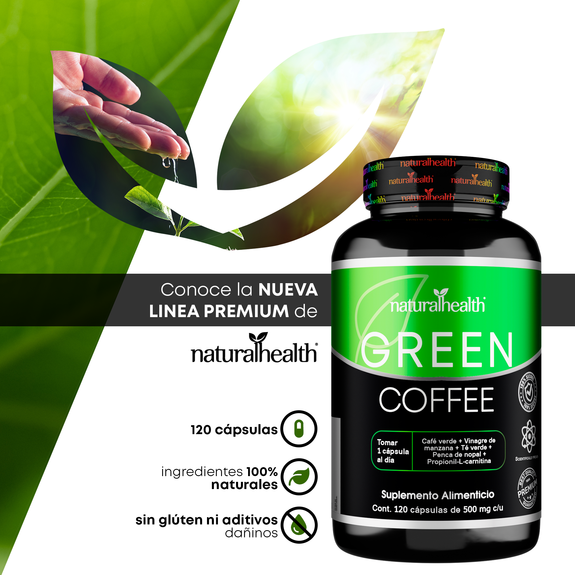 Green Coffee | Vinagre de manzana, penca de nopal, té verde | 180 cápsulas