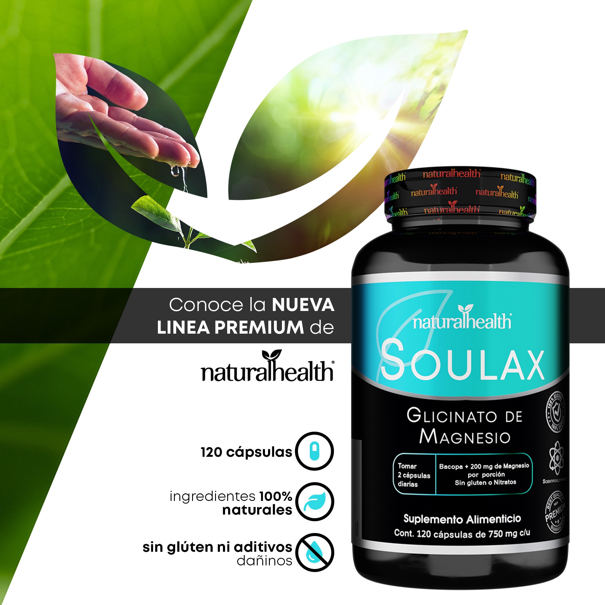 Soulax | Glicinato de Magnesio + Bacopa