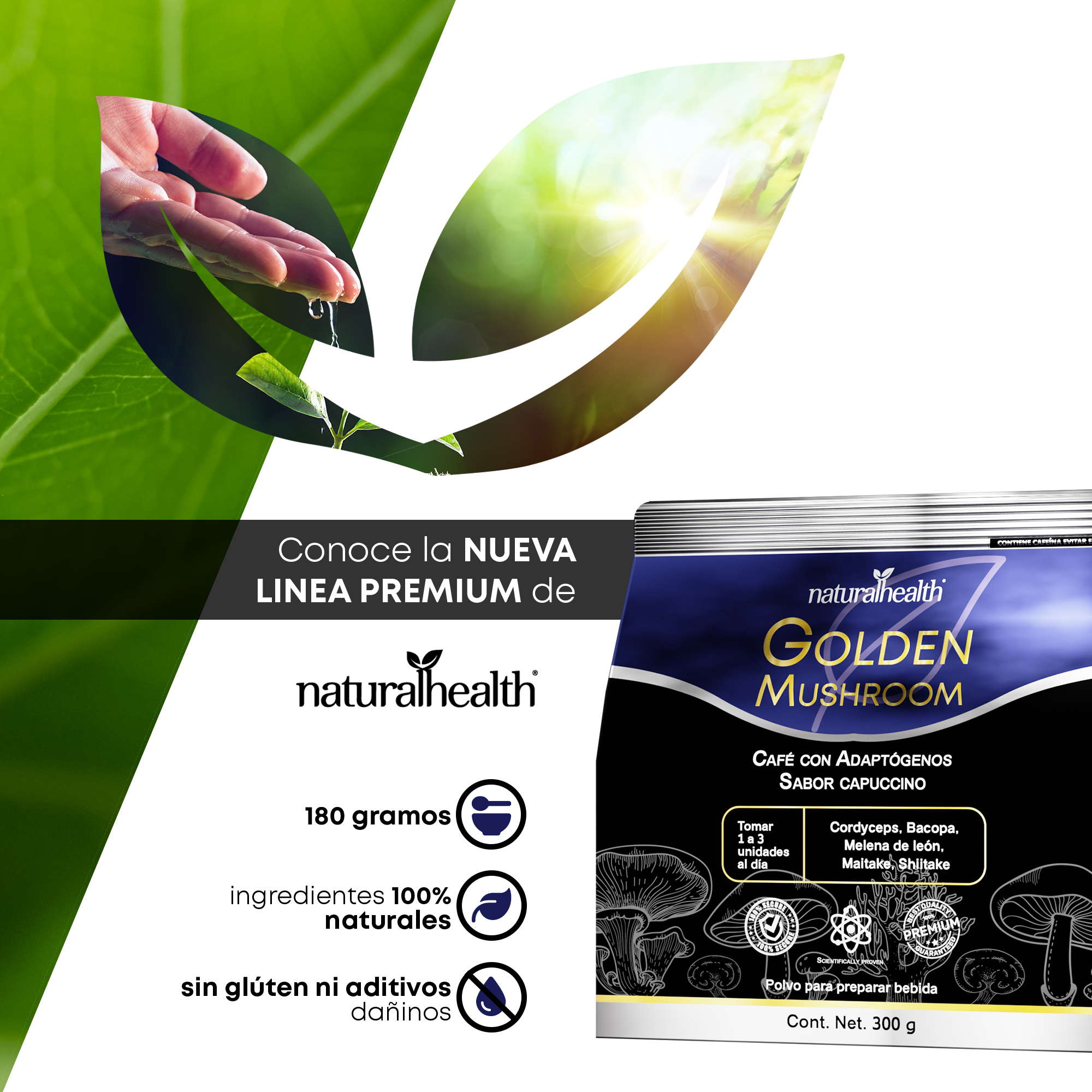 Golden Mushroom | Café con Melena de León, Maitake, Shiitake, Cordyceps y Bacopa