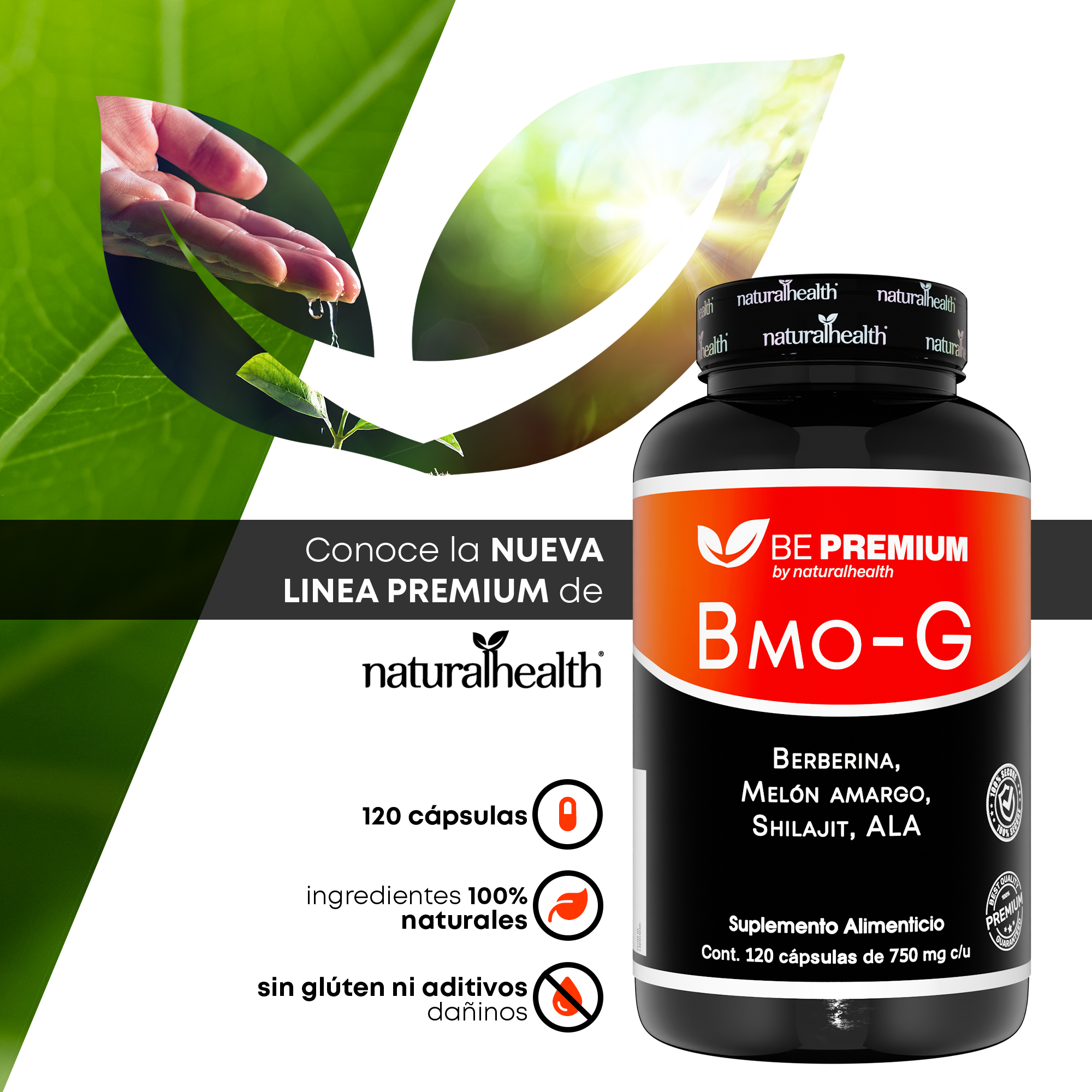 Berberina HCL al 97% con Melón Amargo, Shilajit y ALA | 120 Cápsulas | Suplemento Alimenticio para Soporte Natural