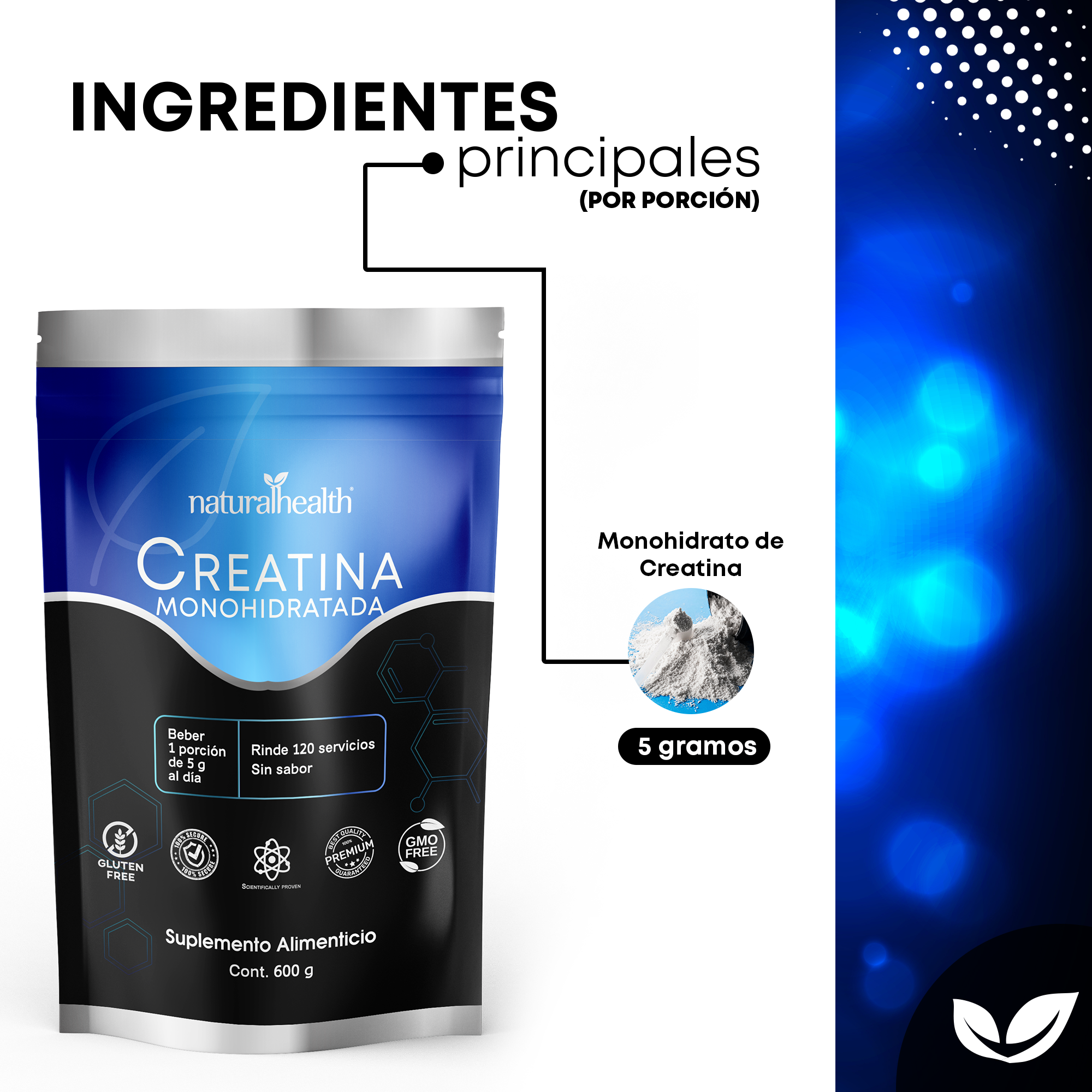 Creatina Monohidratada | Alta pureza | 120 servicios