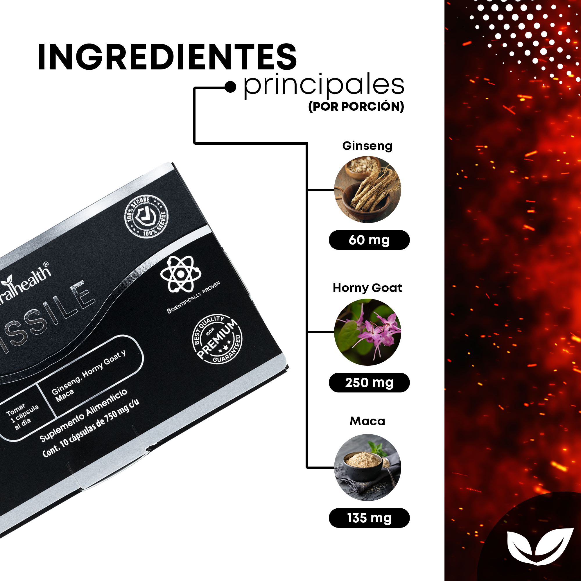 Missile | Ginseng, Horny goat y Maca | 10 cápsulas