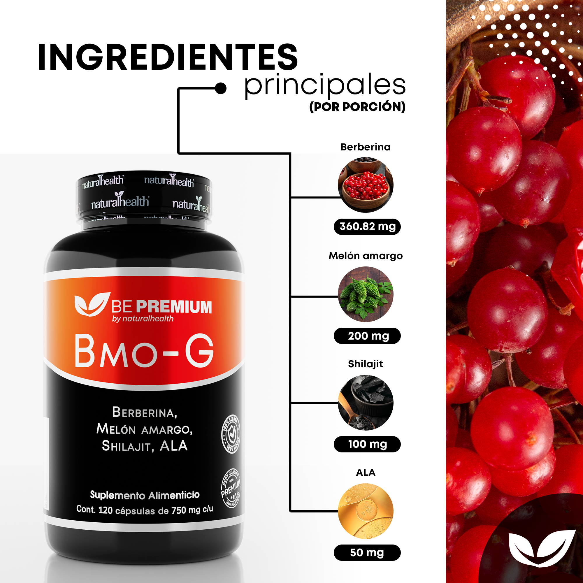 Berberina HCL al 97% con Melón Amargo, Shilajit y ALA | 120 Cápsulas | Suplemento Alimenticio para Soporte Natural