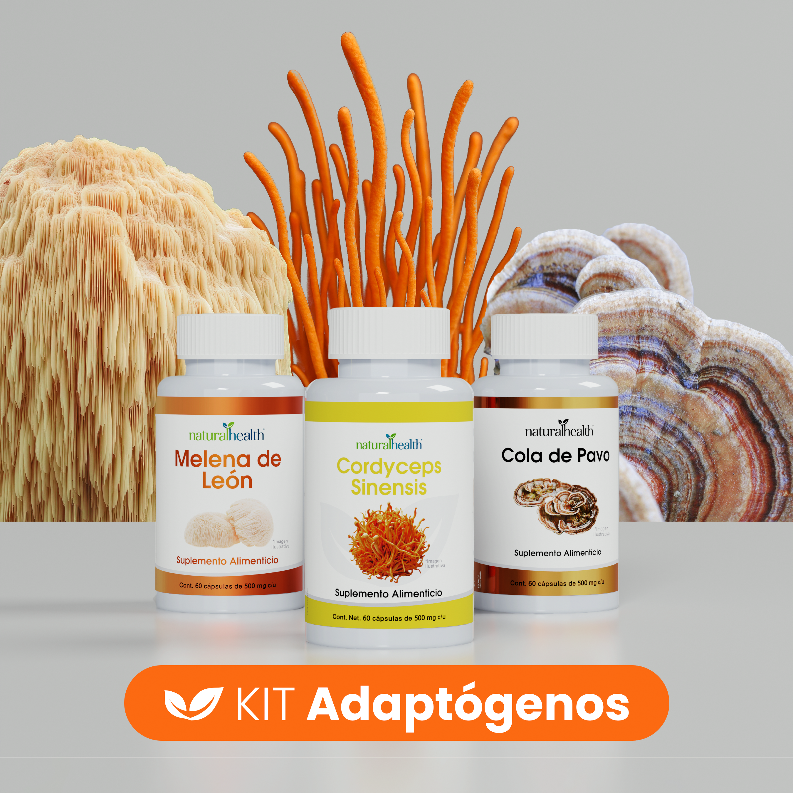 Adaptógenos | Kit de Melena de León, Cordyceps y Cola de Pavo