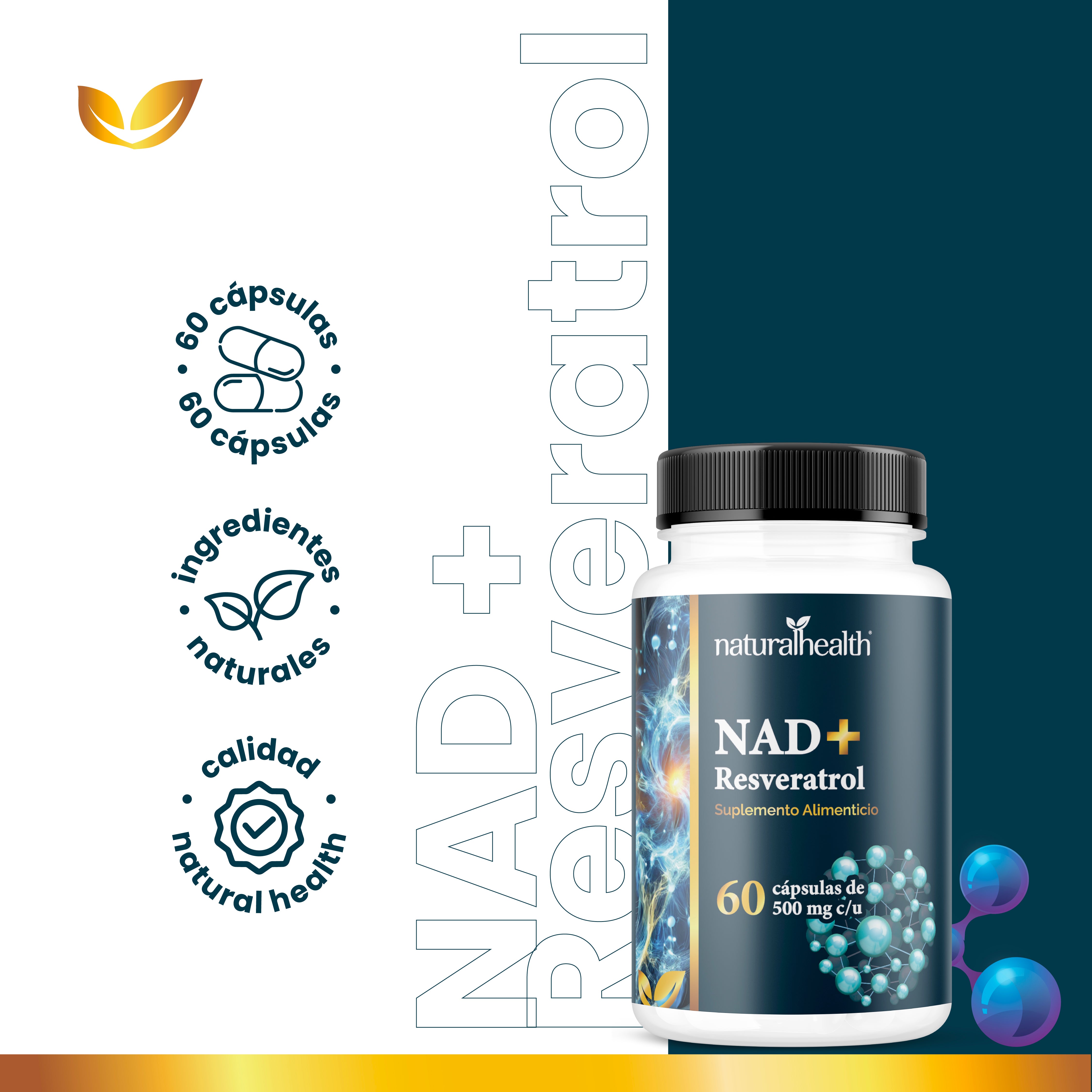 NAD + Resveratrol