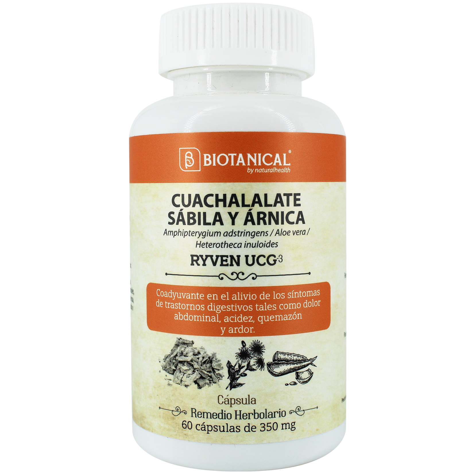 Remedios Herbolarios | RYVEN UCG (Cuachalalate, sábila y árnica)