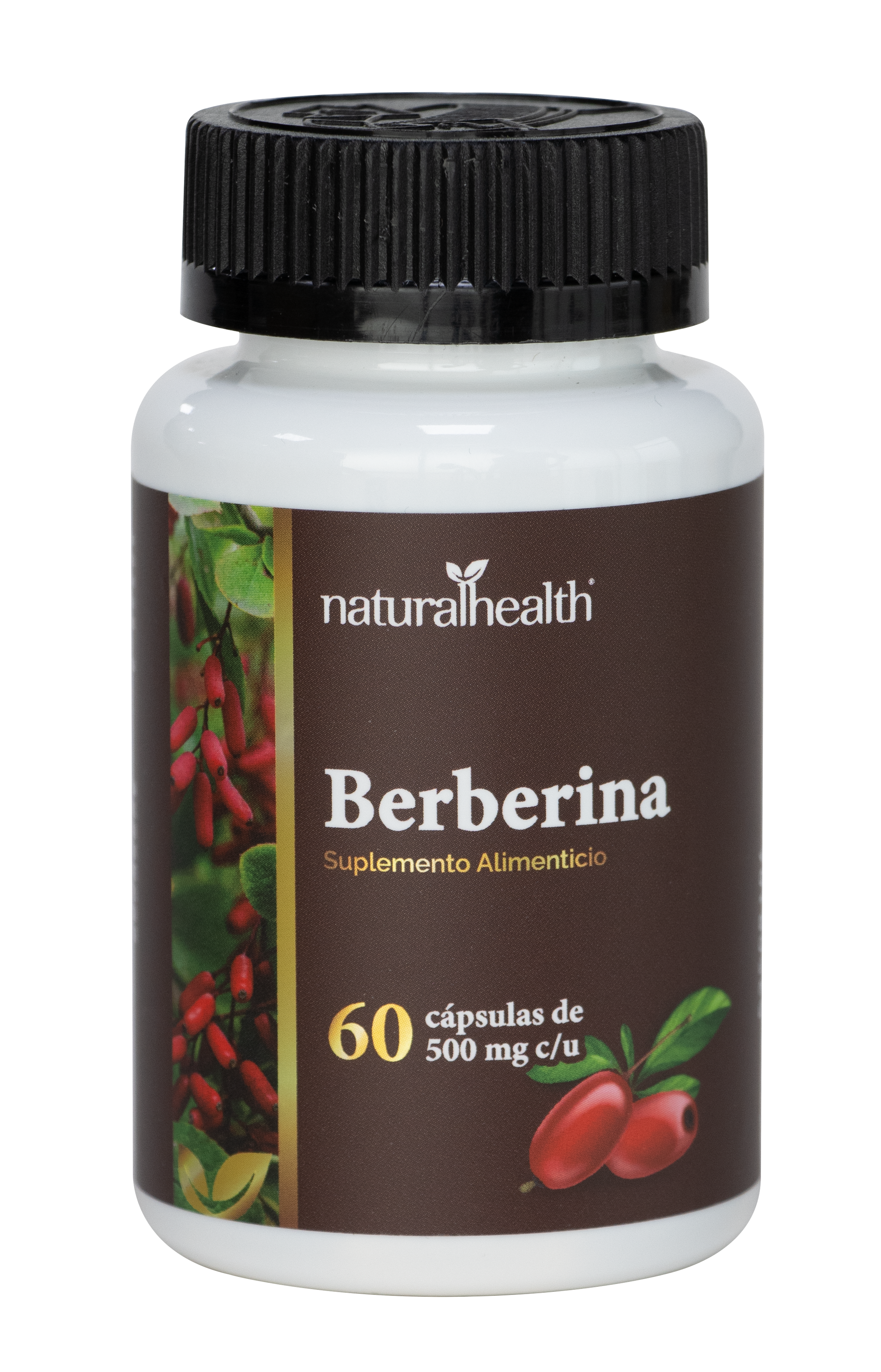 Berberina