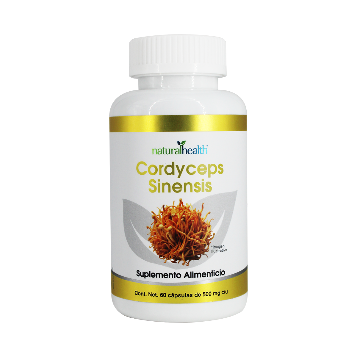 Cordyceps Synensis | 60 cápsulas