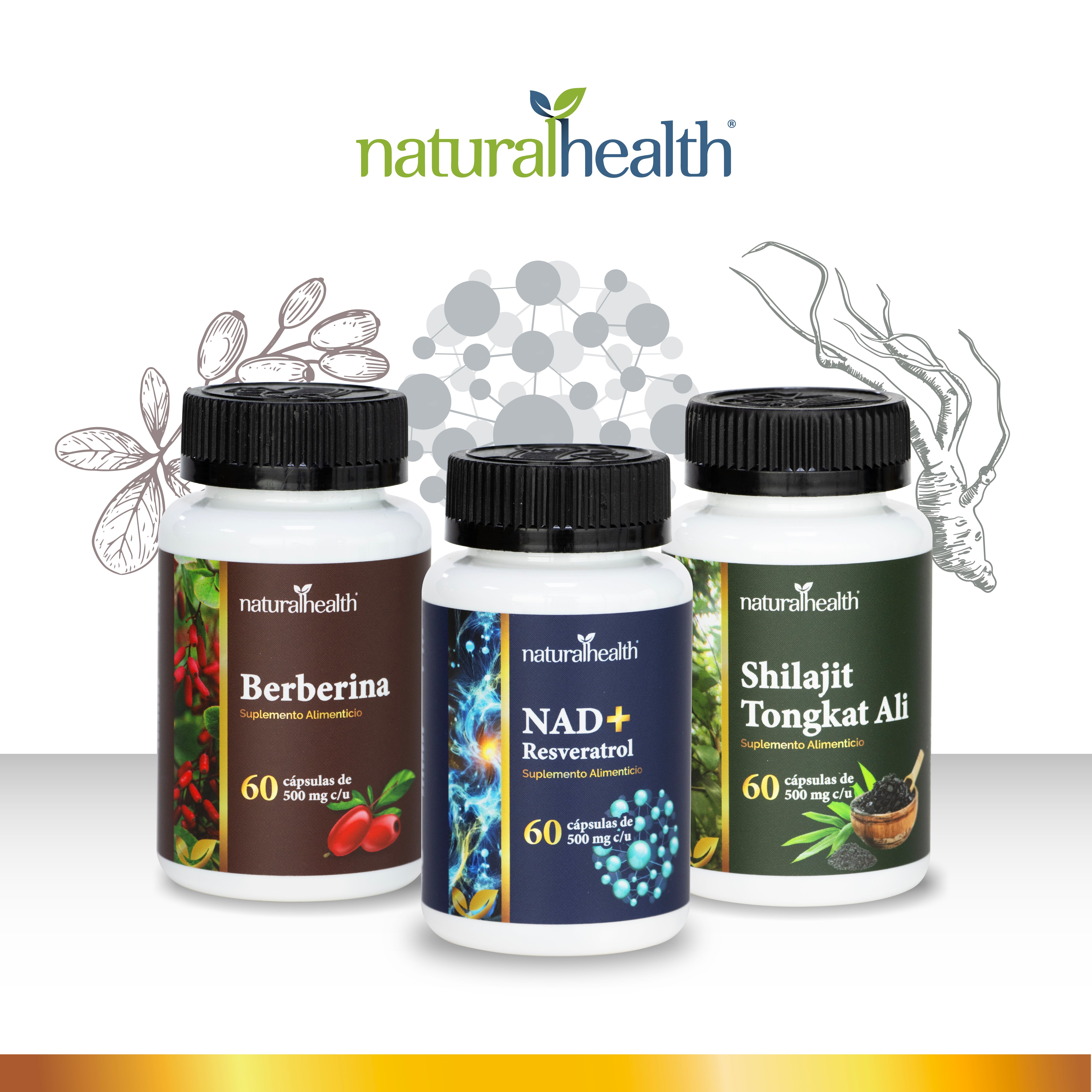 NAD + Resveratrol